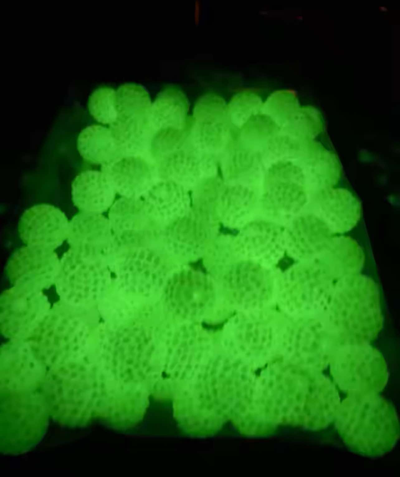 Luminous Rhinestone Acrylic Bead 20mm Glow in the Dark
